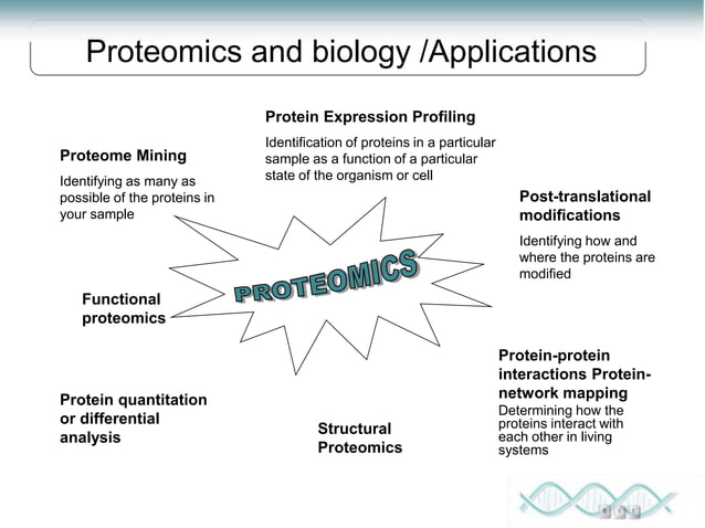 Proteomics Lecture 1 Introduction To Proteomics Ppt Proteomics Lecture 1 Introduction To Proteomics Ppt