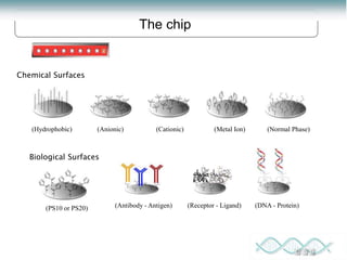 Proteomics: lecture (1) introduction to proteomics | PPT