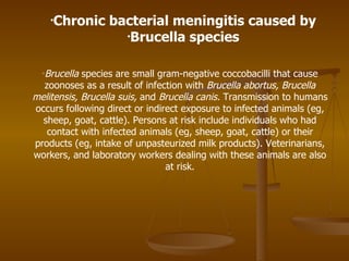Brucella  species are small gram-negative coccobacilli that cause zoonoses as a result of infection with  Brucella abortus, Brucella melitensis, Brucella suis,  and  Brucella canis.  Transmission to humans occurs following direct or indirect exposure to infected animals (eg, sheep, goat, cattle). Persons at risk include individuals who had contact with infected animals (eg, sheep, goat, cattle) or their products (eg, intake of unpasteurized milk products). Veterinarians, workers, and laboratory workers dealing with these animals are also at risk. Chronic bacterial meningitis  caused by Brucella species 