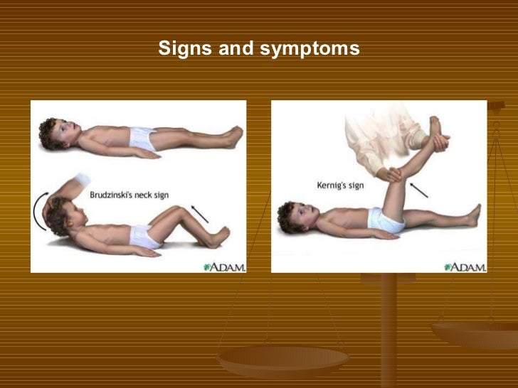 Lecture 11 Meningitis Lecture 11 Meningitis