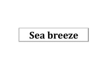 Sea breeze

 