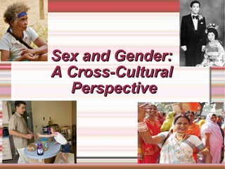 Sex and Gender: A Cross-Cultural  Perspective 