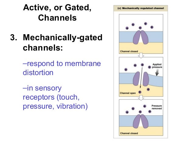 Lecture11 15 13-1