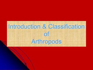 Introduction & Classification
of
Arthropods
 