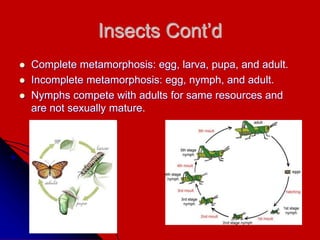 Insects Cont’d
 Complete metamorphosis: egg, larva, pupa, and adult.
 Incomplete metamorphosis: egg, nymph, and adult.
 Nymphs compete with adults for same resources and
are not sexually mature.
 