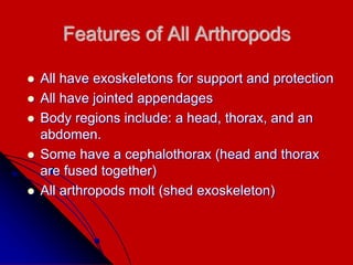Features of All Arthropods
 All have exoskeletons for support and protection
 All have jointed appendages
 Body regions include: a head, thorax, and an
abdomen.
 Some have a cephalothorax (head and thorax
are fused together)
 All arthropods molt (shed exoskeleton)
 