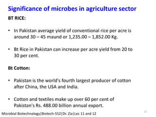 13
Microbial Biotechnology|Biotech-552|Dr. Zia|Lec 11 and 12
Significance of microbes in agriculture sector
BT RICE:
• In Pakistan average yield of conventional rice per acre is
around 30 – 45 maund or 1,235.00 – 1,852.00 Kg.
• Bt Rice in Pakistan can increase per acre yield from 20 to
30 per cent.
Bt Cotton:
• Pakistan is the world's fourth largest producer of cotton
after China, the USA and India.
• Cotton and textiles make up over 60 per cent of
Pakistan's Rs. 488.00 billion annual export.
 