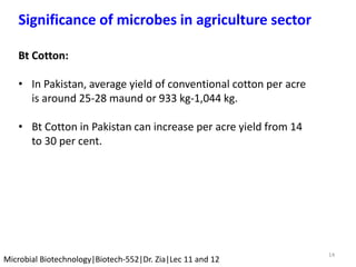 14
Microbial Biotechnology|Biotech-552|Dr. Zia|Lec 11 and 12
Significance of microbes in agriculture sector
Bt Cotton:
• In Pakistan, average yield of conventional cotton per acre
is around 25-28 maund or 933 kg-1,044 kg.
• Bt Cotton in Pakistan can increase per acre yield from 14
to 30 per cent.
 