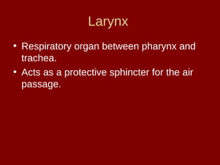 Larynx
• Respiratory organ between pharynx and
trachea.
• Acts as a protective sphincter for the air
passage.
 