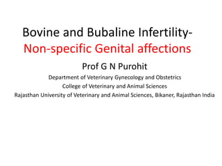 Bovine and Bubaline Infertility-
Non-specific Genital affections
Prof G N Purohit
Department of Veterinary Gynecology and Obstetrics
College of Veterinary and Animal Sciences
Rajasthan University of Veterinary and Animal Sciences, Bikaner, Rajasthan India
 