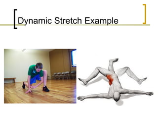 Dynamic Stretch Example
 