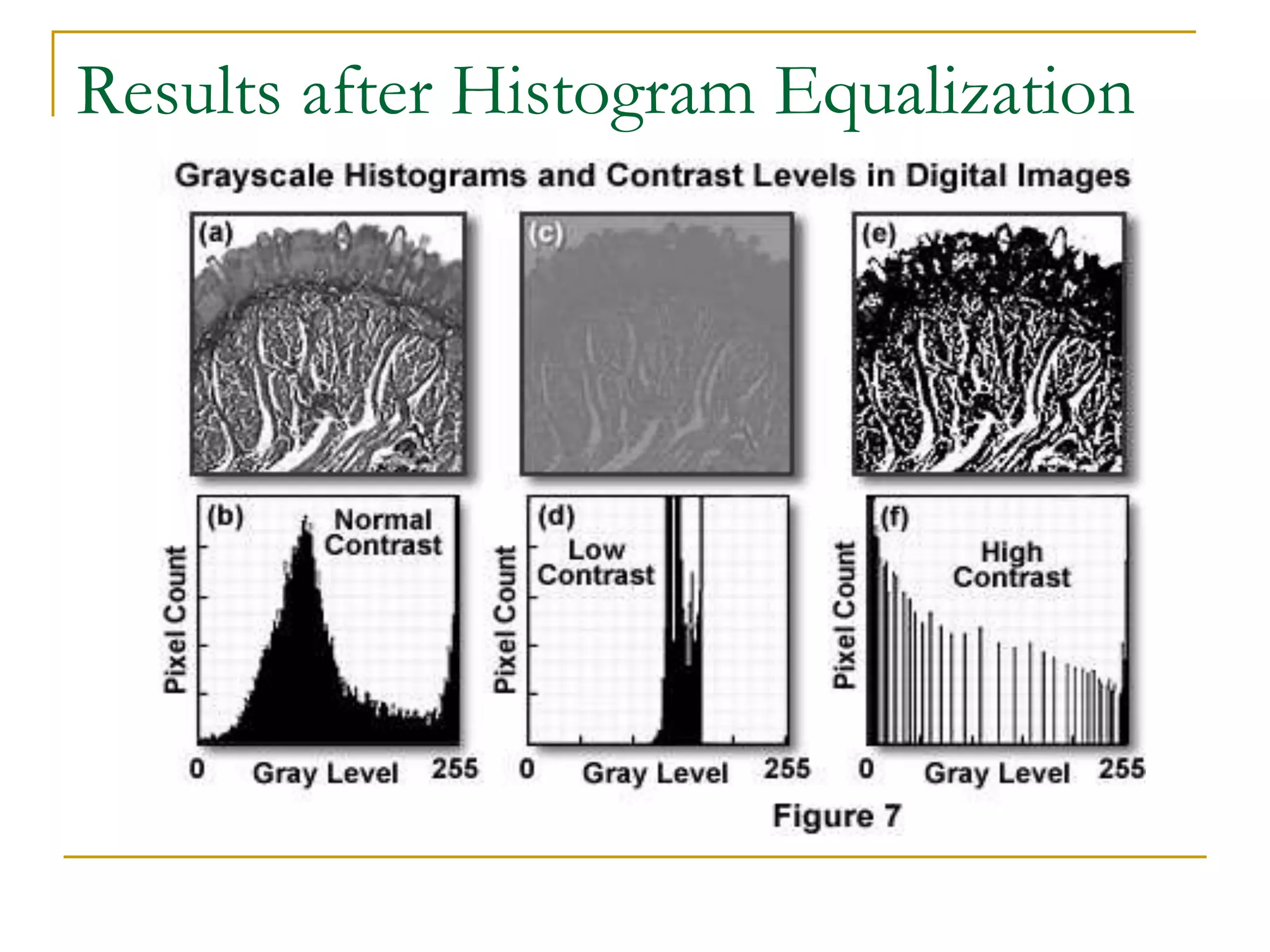 Results after Histogram Equalization