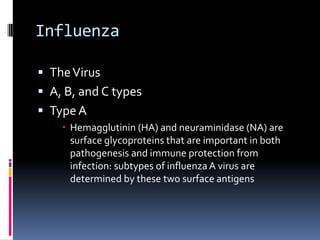 InfluenzaThe VirusA, B, and C typesType AHemagglutinin (HA) and neuraminidase (NA) are surface glycoproteins that are important in both pathogenesis and immune protection from infection: subtypes of influenza A virus are determined by these two surface antigens