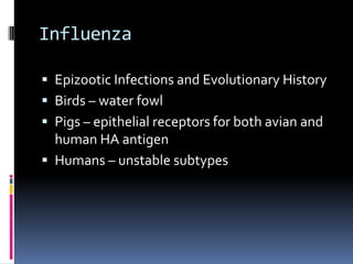 InfluenzaEpizootic Infections and Evolutionary HistoryBirds – water fowlPigs – epithelial receptors for both avian and human HA antigenHumans – unstable subtypes