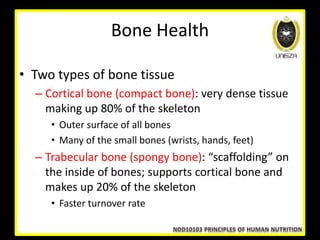 Lecture 11 nutrients involved in bone health | PPT