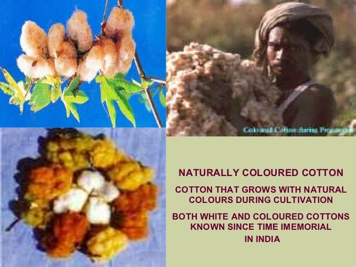 Lecture 11 organic and naturally coloured cotton