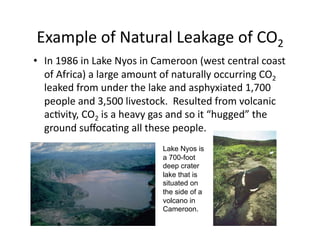 •




    Lake Nyos is
    a 700-foot
    deep crater
    lake that is
    situated on
    the side of a
    volcano in
    Cameroon.
 