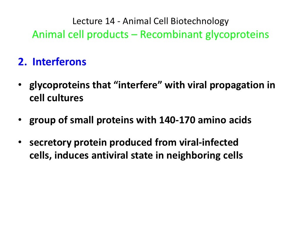 Lecture 11 protein production