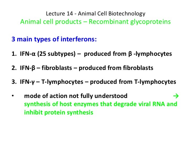 recombinant protein production meeting 3 rd recombinant protein production meeting protein production p445 delta multicopy integration for improved ~-galactosidase production in recombinant. recombinant protein production meeting 3 rd recombinant protein production meeting protein production p445 delta multicopy integration for improved ~-galactosidase production in recombinant.