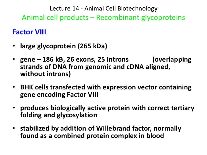 recombinant protein production meeting 3 rd recombinant protein production meeting protein production p445 delta multicopy integration for improved ~-galactosidase production in recombinant. recombinant protein production meeting 3 rd recombinant protein production meeting protein production p445 delta multicopy integration for improved ~-galactosidase production in recombinant.