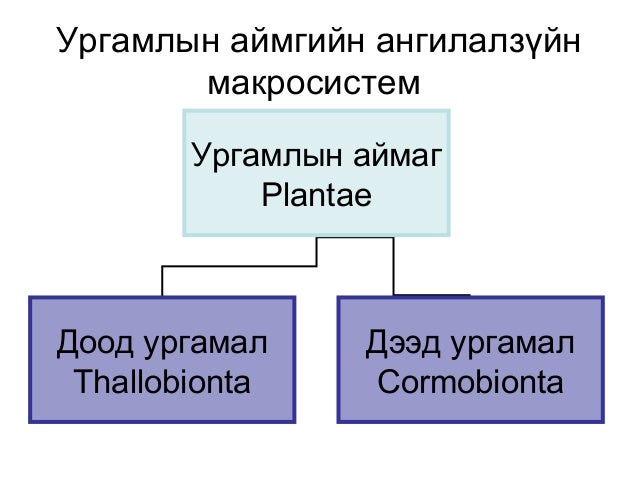 Lecture12