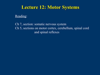 Lecture 12: Motor SystemsLecture 12: Motor Systems
Reading:
Ch 7, section: somatic nervous system
Ch 5, sections on motor cortex, cerebellum, spinal cord
and spinal reflexes
 