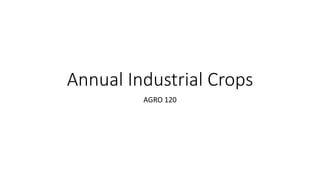Annual Industrial Crops
AGRO 120
 
