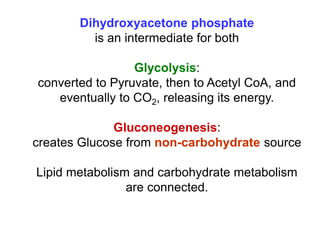 Dihydroxyacetone phosphate
is an intermediate for both
Glycolysis:
converted to Pyruvate, then to Acetyl CoA, and
eventually to CO2, releasing its energy.
Gluconeogenesis:
creates Glucose from non-carbohydrate source
Lipid metabolism and carbohydrate metabolism
are connected.
 