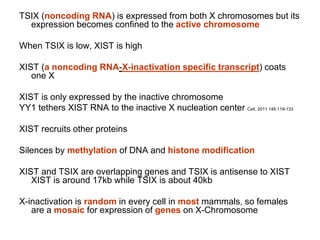 Tsix Lecture 12.ppt