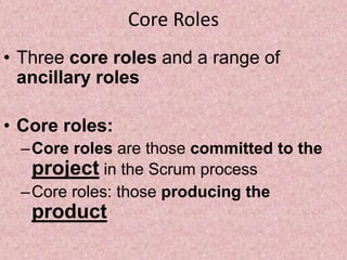 Core Roles
• Three core roles and a range of
ancillary roles
• Core roles:
–Core roles are those committed to the
project ...