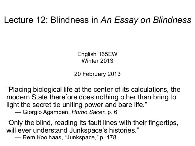 essay on blindness