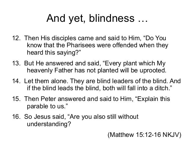 essay on blindness