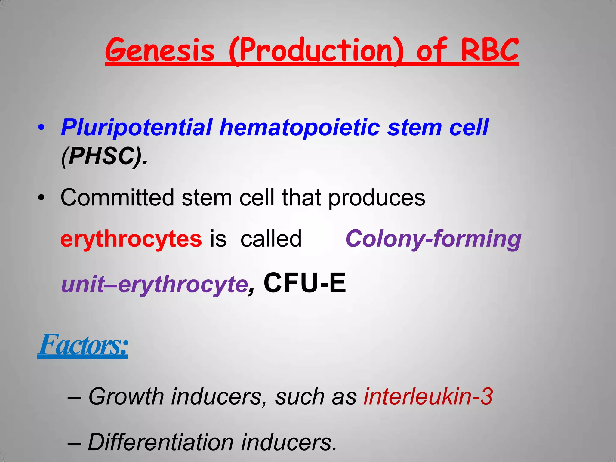Genesis Of Rbc Lecture12 - Erythropoiesis.pptx