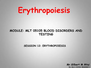 Erythropoiesis
Mr.Gilbert M Mtui
Bsc MLS ( CUHAS, BUGANDO )
1
MODULE: MLT 05105 BLOOD DISORDERS AND
TESTING
SESSION 12: ERYTHROPOIESIS
 
