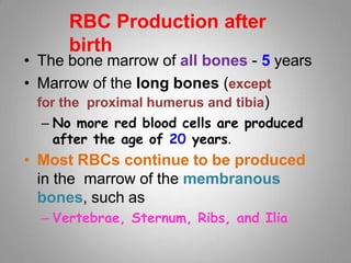 Lecture12 - Erythropoiesis.pptx