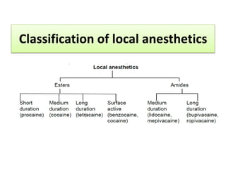 Classification of local anesthetics
 