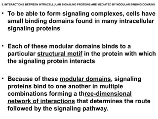 Comprehensive Overview of Cellular Communication Mechanisms and ...