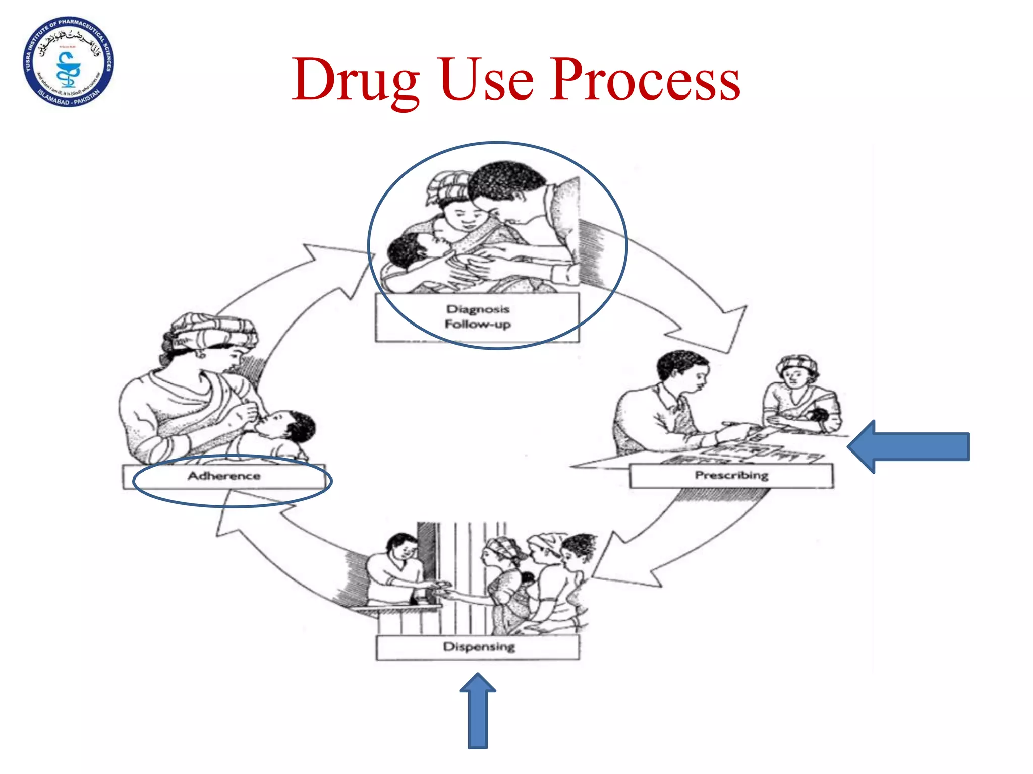 Drug Use Process
 