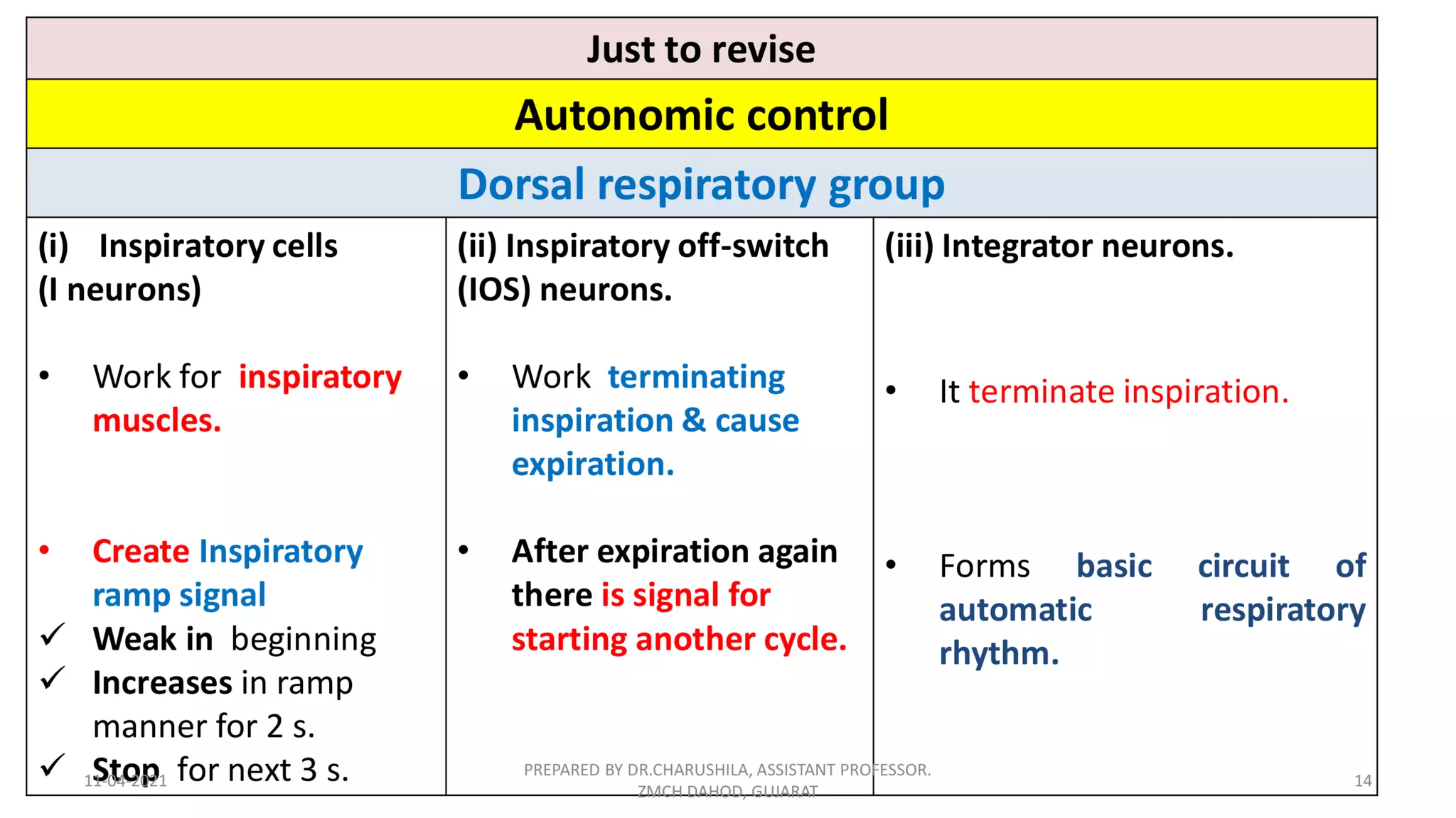 Neural regulation of respiration | PDF