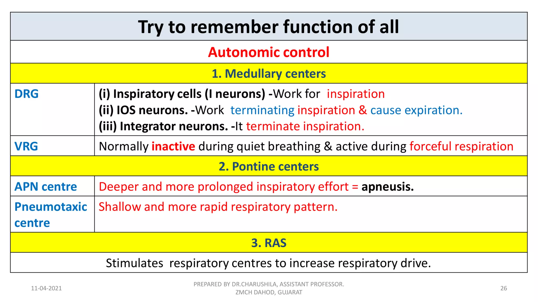 Neural regulation of respiration | PDF