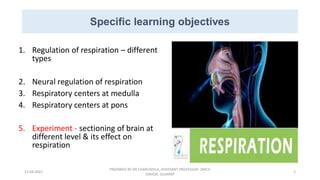 Neural regulation of respiration | PDF