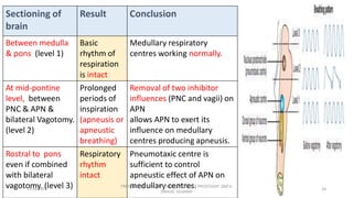 Neural regulation of respiration | PDF