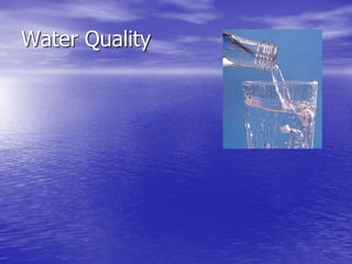 Water Quality
 