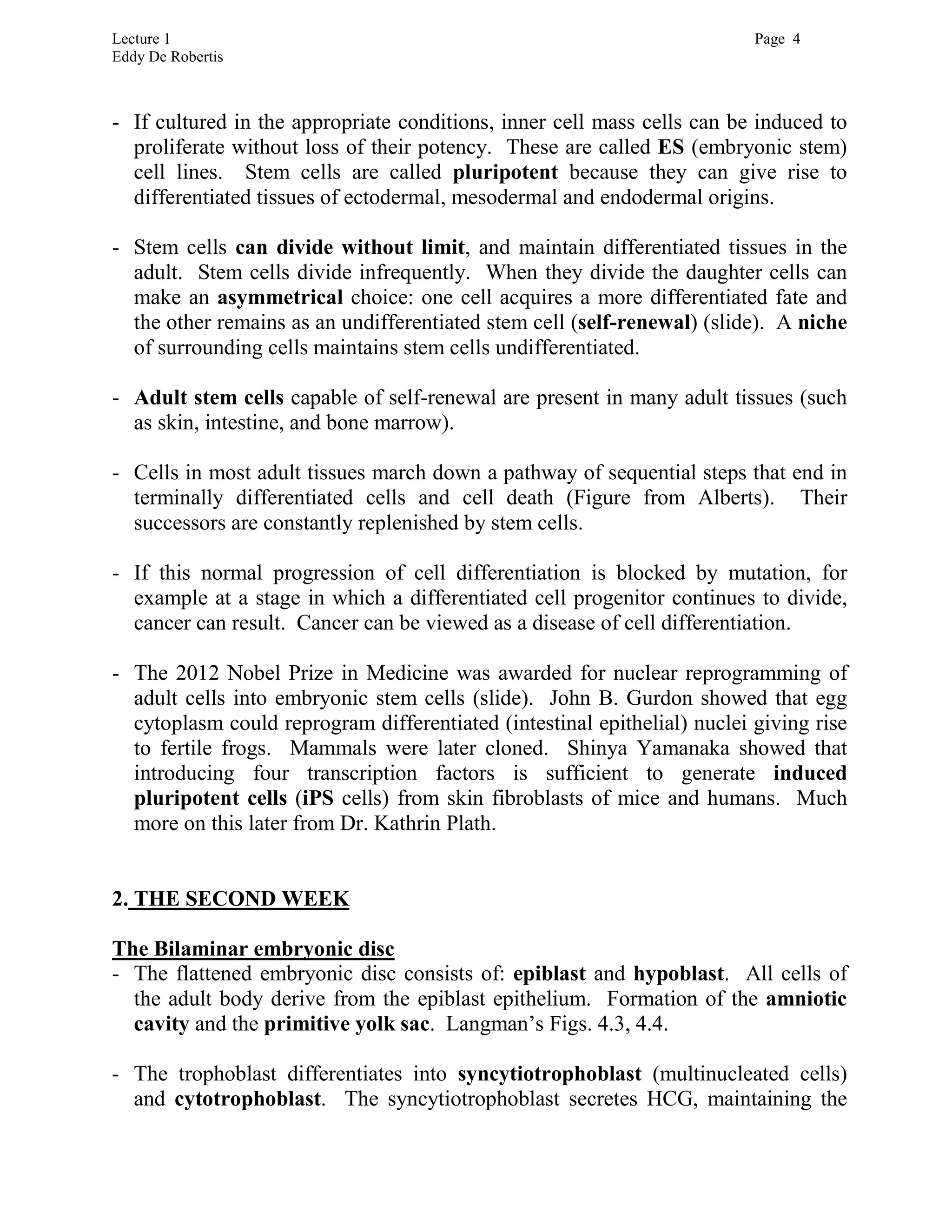 Lecture 1 Page 4
Eddy De Robertis
- If cultured in the appropriate conditions, inner cell mass cells can be induced to
proliferate without loss of their potency. These are called ES (embryonic stem)
cell lines. Stem cells are called pluripotent because they can give rise to
differentiated tissues of ectodermal, mesodermal and endodermal origins.
- Stem cells can divide without limit, and maintain differentiated tissues in the
adult. Stem cells divide infrequently. When they divide the daughter cells can
make an asymmetrical choice: one cell acquires a more differentiated fate and
the other remains as an undifferentiated stem cell (self-renewal) (slide). A niche
of surrounding cells maintains stem cells undifferentiated.
- Adult stem cells capable of self-renewal are present in many adult tissues (such
as skin, intestine, and bone marrow).
- Cells in most adult tissues march down a pathway of sequential steps that end in
terminally differentiated cells and cell death (Figure from Alberts). Their
successors are constantly replenished by stem cells.
- If this normal progression of cell differentiation is blocked by mutation, for
example at a stage in which a differentiated cell progenitor continues to divide,
cancer can result. Cancer can be viewed as a disease of cell differentiation.
- The 2012 Nobel Prize in Medicine was awarded for nuclear reprogramming of
adult cells into embryonic stem cells (slide). John B. Gurdon showed that egg
cytoplasm could reprogram differentiated (intestinal epithelial) nuclei giving rise
to fertile frogs. Mammals were later cloned. Shinya Yamanaka showed that
introducing four transcription factors is sufficient to generate induced
pluripotent cells (iPS cells) from skin fibroblasts of mice and humans. Much
more on this later from Dr. Kathrin Plath.
2. THE SECOND WEEK
The Bilaminar embryonic disc
- The flattened embryonic disc consists of: epiblast and hypoblast. All cells of
the adult body derive from the epiblast epithelium. Formation of the amniotic
cavity and the primitive yolk sac. Langman’s Figs. 4.3, 4.4.
- The trophoblast differentiates into syncytiotrophoblast (multinucleated cells)
and cytotrophoblast. The syncytiotrophoblast secretes HCG, maintaining the
 