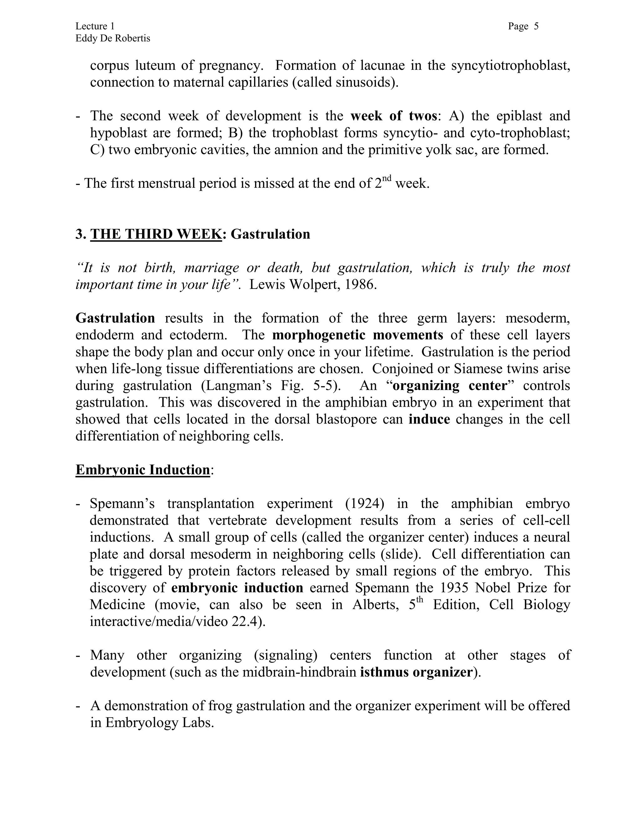 Lecture 1 Page 5
Eddy De Robertis
corpus luteum of pregnancy. Formation of lacunae in the syncytiotrophoblast,
connection to maternal capillaries (called sinusoids).
- The second week of development is the week of twos: A) the epiblast and
hypoblast are formed; B) the trophoblast forms syncytio- and cyto-trophoblast;
C) two embryonic cavities, the amnion and the primitive yolk sac, are formed.
- The first menstrual period is missed at the end of 2nd
week.
3. THE THIRD WEEK: Gastrulation
“It is not birth, marriage or death, but gastrulation, which is truly the most
important time in your life”. Lewis Wolpert, 1986.
Gastrulation results in the formation of the three germ layers: mesoderm,
endoderm and ectoderm. The morphogenetic movements of these cell layers
shape the body plan and occur only once in your lifetime. Gastrulation is the period
when life-long tissue differentiations are chosen. Conjoined or Siamese twins arise
during gastrulation (Langman’s Fig. 5-5). An “organizing center” controls
gastrulation. This was discovered in the amphibian embryo in an experiment that
showed that cells located in the dorsal blastopore can induce changes in the cell
differentiation of neighboring cells.
Embryonic Induction:
- Spemann’s transplantation experiment (1924) in the amphibian embryo
demonstrated that vertebrate development results from a series of cell-cell
inductions. A small group of cells (called the organizer center) induces a neural
plate and dorsal mesoderm in neighboring cells (slide). Cell differentiation can
be triggered by protein factors released by small regions of the embryo. This
discovery of embryonic induction earned Spemann the 1935 Nobel Prize for
Medicine (movie, can also be seen in Alberts, 5th
Edition, Cell Biology
interactive/media/video 22.4).
- Many other organizing (signaling) centers function at other stages of
development (such as the midbrain-hindbrain isthmus organizer).
- A demonstration of frog gastrulation and the organizer experiment will be offered
in Embryology Labs.
 