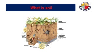 Soil Introduction Comprehensive Introduction to Soil Science: Formation, Composition, and ...