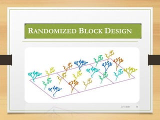 Randomized Block Sampling Design of Experiments | PPTX
