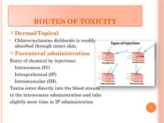 Lecture 1 (25).pptx food ';/.,;'/.,;'/.,; | PPTX