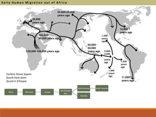 Ea rl y H um a n Mi grati on out of A f ri ca
Earliest Homo Sapien
fossils have been
found in Ethiopia
Africa West Asia Europe
East & South
Asia
North America South America
Australia
 