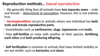 Lecture 12a. Animal Reproductive systems.pptx